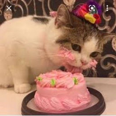 JuanSeb35864070's profile picture. 