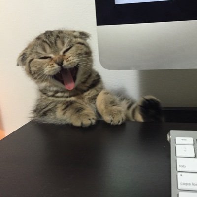 KatNosey's profile picture. 