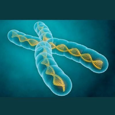 Strong interest in cancer genetics, DNA damage and repair, reproductive genetics...