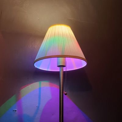 김초코さんのプロフィール画像