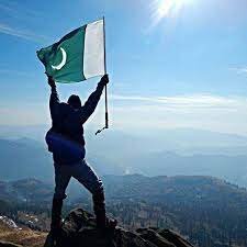 kasif_kamran's profile picture. 