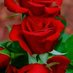zaramo og (@mohamed21032593) Twitter profile photo zaramo og (@mohamed21032593) Twitter profile photo