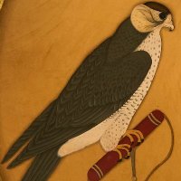 H M Ismail (@hm_340) 's Twitter Profile
