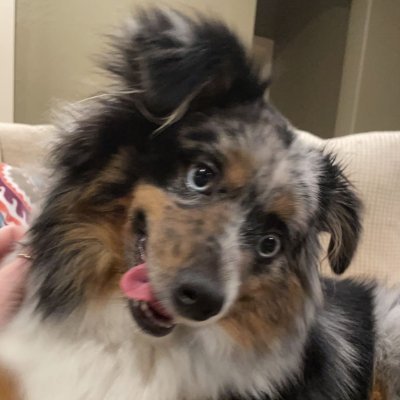 zoeepetersen's profile picture. 