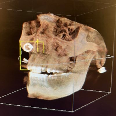 NoLightBelow's profile picture. I work to shit and get payed to wipe