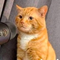 LuckyMenk π (@menkycat) 's Twitter Profile