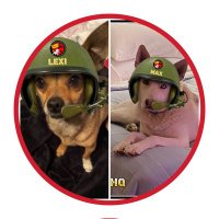 Corporals Lexi and Max(@LexiTheChi) 's Twitter Profile Photo