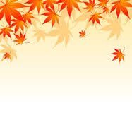 🍁もみじ🍁さんのプロフィール画像