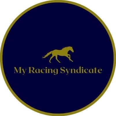 My Racing Syndicate