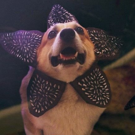 DartByler's profile picture. bringing the byler empire towards the galaxy 26 y/o 🇻🇪🏳️‍🌈 this is an alter/ST fandom focused account (just for fun)