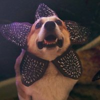 ɹǝlʎq ʇɹɐp | Dart Byler (@dartbyler) 's Twitter Profile