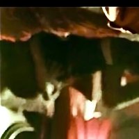 Jessica (@mainshome) 's Twitter Profile