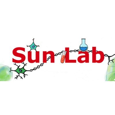 We are the Sun Laboratory at the Johns Hopkins. Dr. Shuying Sun and her team are interested in RNA metabolism dysfunction and RNA-targeting therapy of ALS.