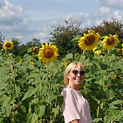 Sunflower grower. Fan of Bob Geldof & Boomtown Rats.   North Belfast Red. VW Beetle driver. Regional Manager for St Vincent de PauI in NI. All tweets my own.