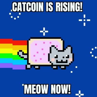 Buy CATCOIN: https://t.co/rIycSmyhB6 😻🚀🌙 MEOW! OFFICIAL https://t.co/rIycSmyhB6 Platform 😻 ⭐BSC Contract: 0x2cA7D8566ba9FF99ACfc871930e7bc25Cd154b52