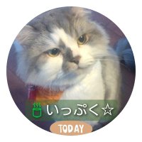 いっぷく🍵☆(一般社団法人みんなの居場所いっぷく） (@hw1ptmmqhle8zoj) 's Twitter Profile