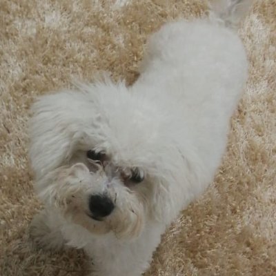 Hey friends
My name is Ted or Teddy whatever you want,
I am the real Ted!
And next season Ted 3 will be on me
Lives in California
surfer
Doing cryptoNFT andShit