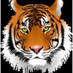 AdelphiROAR's profile picture.