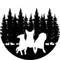 The Kas Pack (@thekaspack) 's Twitter Profile