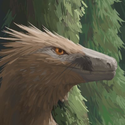 Solさんのプロフィール画像