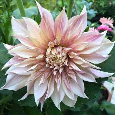 deborah_biz's profile picture. 