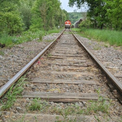 HenrikFeldmann's profile picture. 