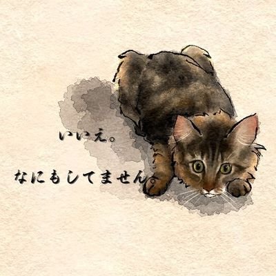 メインクーンのたびと
もちもち白玉息子の日々録🐱🧡
🐱22.01.07生まれ🍀
👦🏻22.08.20生まれ🍉🧡✨
どちらも甘えたʕ•̬͡•ʕ•̫͡•♥
ママ友欲しぃᐠ( ᐛ )ᐟᐠ( ᐛ )ᐟ❤ママ垢ルールとかよくわからん( ˙⌓˙)←