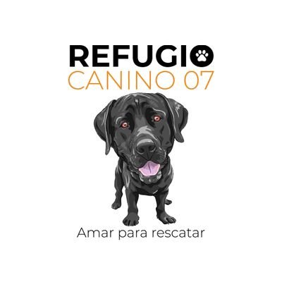 Organización sin ánimo de lucro dedicada al rescate y cuidado de animales en condición de calle.
🐾 ¡Comunícate con nosotros! 3022411522