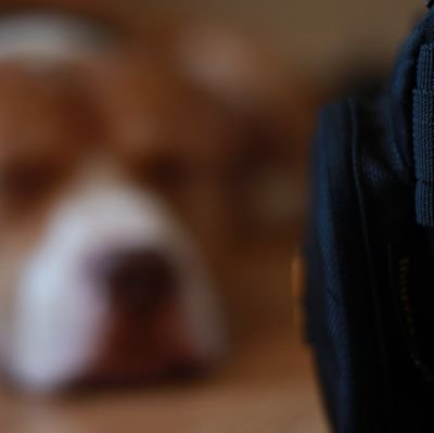 aspiring freelance photography
all shapes, sizes, vibes and styles.
The world is yours for the taking