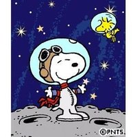 snoopyanalyst (@snoopyanalyst) 's Twitter Profile
