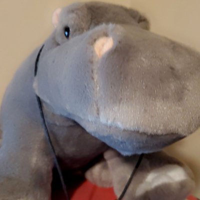 NifinFTW's profile picture. I'm into Anything I can Tinker with especially PCs & Cars!!! I'm also sadly in a wheelchair from an Traumatic brain injury Resulting in H.O. and a Wheelchair!!!