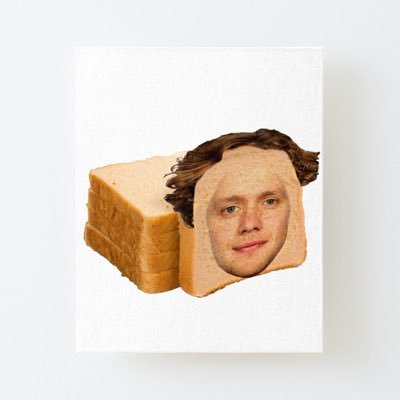 Stormbreadman's profile picture. One day I will evolve into toast