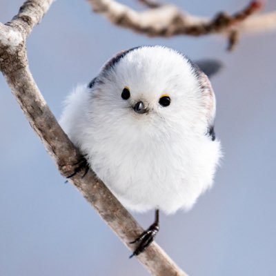 yanyan420827's profile picture. 和世界上最认真、理性、保守的国民 ，一起生活在最安全、安静、安心的国土。