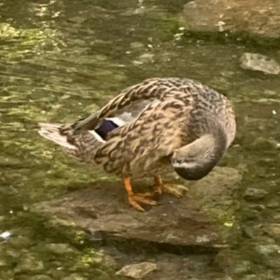 D69236508's profile picture. 