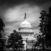 Christopher Townsend (@chrisjtownsend1) Twitter profile photo Christopher Townsend (@chrisjtownsend1) Twitter profile photo