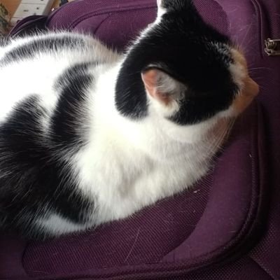 tubagroova's profile picture. ECT Geography Teacher | Weathergeek | Wolves | Type 2 Diabetic w Insulin | | Earl Grey | Flat White | Xbox | All Views and opinions on herein are solely my own