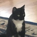 That Ender Guyさんのプロフィール画像