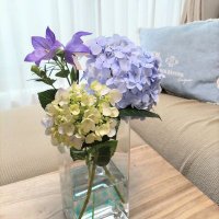 ★MY☆ (@mimiyu_ki) 's Twitter Profile
