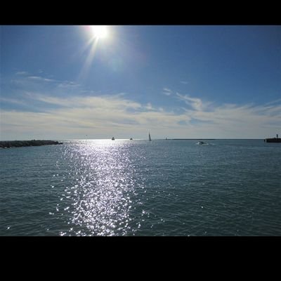 ScottW16875312's profile picture. 