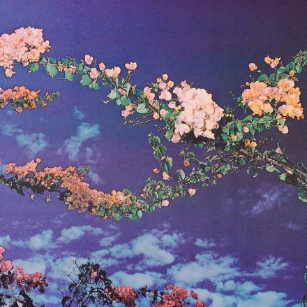 lablaboo123's profile picture. #FreeAhmadManasra