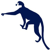 Animal Locomotion Lab (@allabduke) 's Twitter Profile Photo Animal Locomotion Lab (@allabduke) 's Twitter Profile Photo