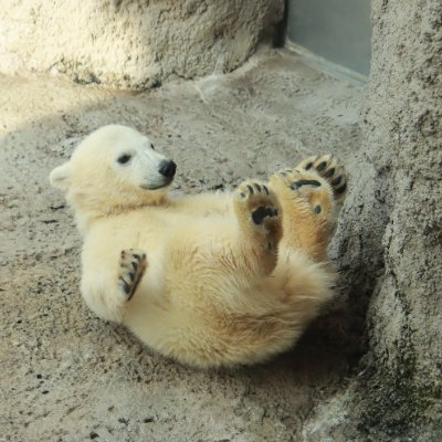 5UZdneBt78Sqc9X's profile picture. 色気が欲しい31歳！めっちゃモテる！
気が強くて、運もいいので
恋愛以外の欲しいものは全部手に入れてきた人生です。
でも自己肯定感低すぎて
恋愛はうまくいきません🤷解散。

フォローは界隈問わず、感性が好みな方と言葉選びが好みな方に送ってます😔🙇🙇