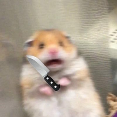 H4mt4ri0's profile picture. 