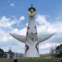 もちもち (@mochi2_momomo) Twitter profile photo