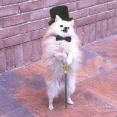 bittersweetさんのプロフィール画像