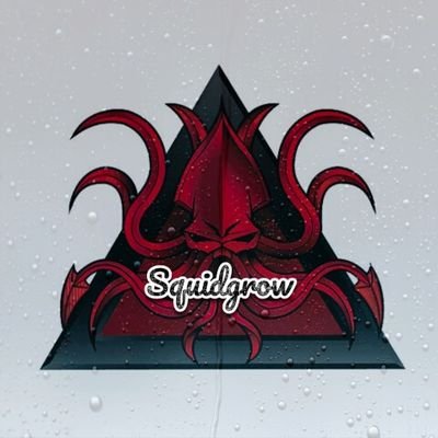 🎭 Squid GRow🎭 🦑 WE ARE NEXT🦑 https://t.co/h7AvP9QOb5. https://t.co/ObhFSYWkrQ