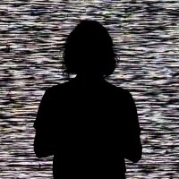 Steve Berrick (@steveberrick) 's Twitter Profile