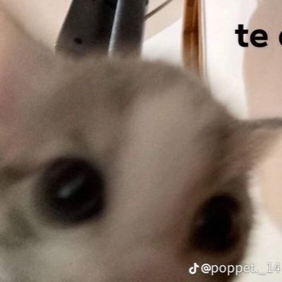 lowkey_egr's profile picture. 