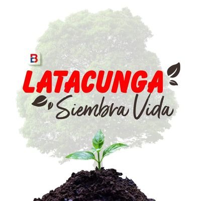 Latacunga siembra vida es un proyecto que impulsa la alcaldía de la ciudad para sembrar 1 millón de árboles.