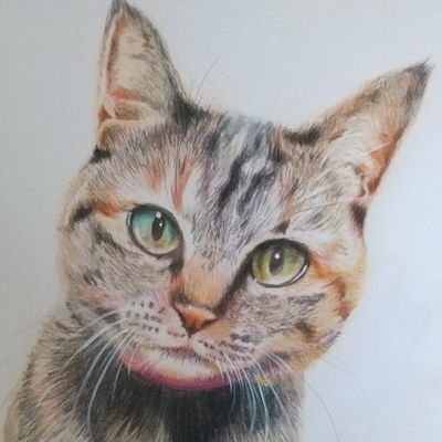 あやこさんのプロフィール画像